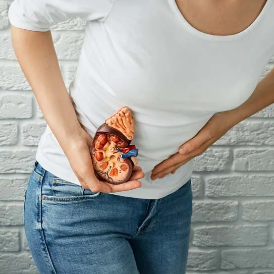 Understanding Kidney Stones: Causes Explained by Lopmudra Hospital Experts