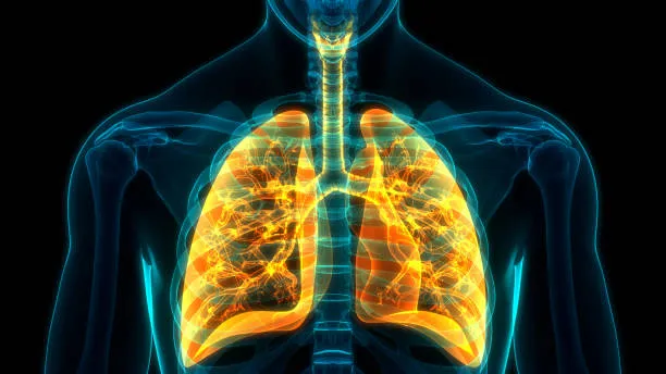COPD Exacerbations: Impact on Lung Health and Recovery at Lopmudra Hospital